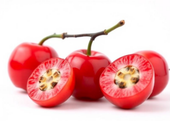 Scientists Reveal the Hidden Cellular Clock That Decides Whether a Jujube Turns Crisp, Soft, or Hard