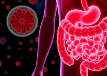 Stem Cells Reshape the Gut Microbiome, but a Blood Pressure Cure Remains Elusive