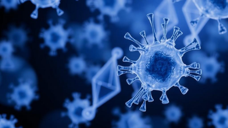 Scientists Engineer Shear-Resistant Prostate Cancer Cells and Uncover a Survival Gene