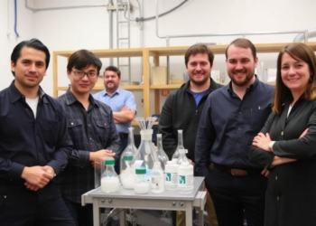 Microbe Team Turns CO2 Electrolysis Waste Into Valuable Chemicals