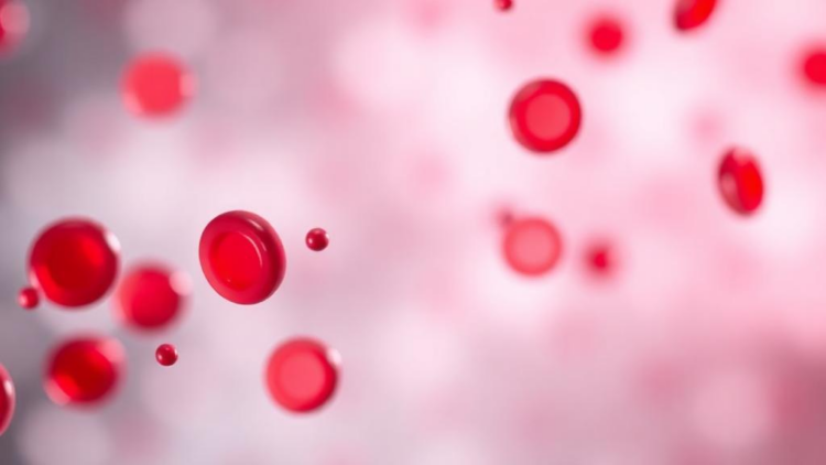 Blood Clues: How Platelet Chemistry Could Transform Ovarian Cancer Detection
