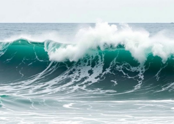 Extreme Waves in the Gulf of Mexico and Caribbean Shifted Sharply After 1995
