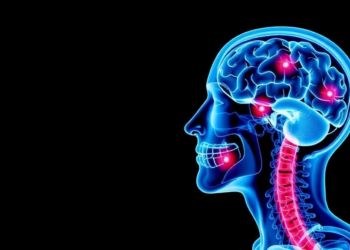 Mapping the Non-Drug Toolkit That Helps Head and Neck Cancer Patients Survive Chemoradiotherapy