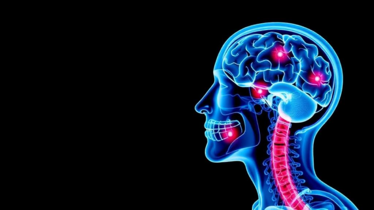 Mapping the Non-Drug Toolkit That Helps Head and Neck Cancer Patients Survive Chemoradiotherapy