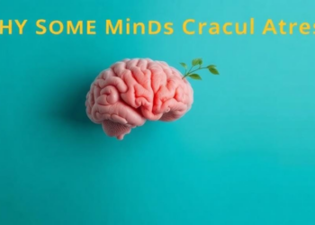 Why Some Minds Crack Under Stress: Mindfulness Emerges as the Missing Link Between Distress Intolerance and Anxiety