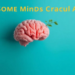 Why Some Minds Crack Under Stress: Mindfulness Emerges as the Missing Link Between Distress Intolerance and Anxiety