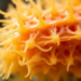 Scientists Discover an Umami Peptide from Sea Cucumber That Also Fights Inflammation in Cells