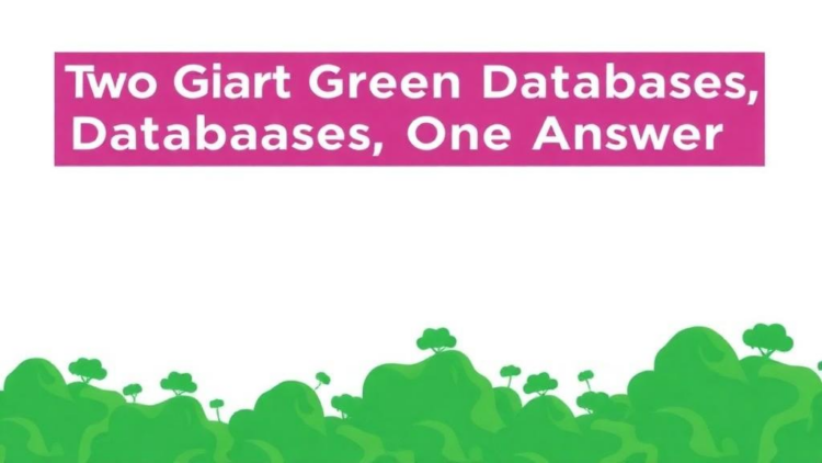 Two Giant Green Databases, One Answer: Carbon Footprint Uncertainty Holds Steady Across Scales