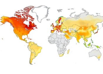 Two Decades of Holocene Climate Research Mapped: Who Publishes, Where, and Why It Matters