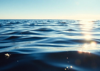Sunlight and Dissolved Organic Matter Decide the Fate of Pollutants in the Baltic Sea