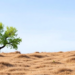 EU Policies Aligned to Restore Landscape Sponge Function, New Brief Urges