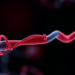 How a Single Amino Acid Pathway May Steer Autoimmune Disease
