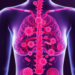 Mitochondrial Quality Genes Yield Seven-Gene Prognostic Signature for Breast Cancer