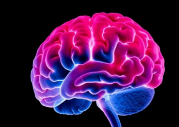 Childhood Abuse Leaves Measurable Scars on Brain Structure, Global MRI Study Finds