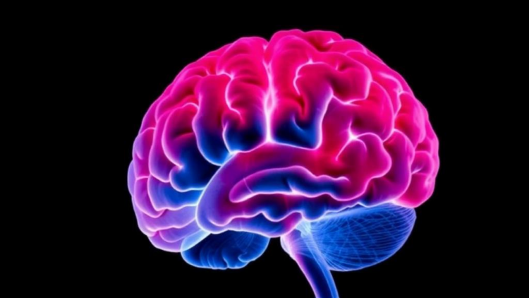 Childhood Abuse Leaves Measurable Scars on Brain Structure, Global MRI Study Finds