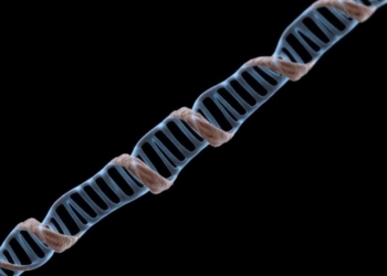 Gene Behind Hereditary Spastic Paraplegia Linked to Rare Plaque-Only Dementia