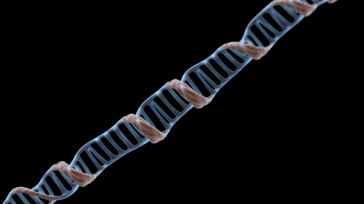 Gene Behind Hereditary Spastic Paraplegia Linked to Rare Plaque-Only Dementia