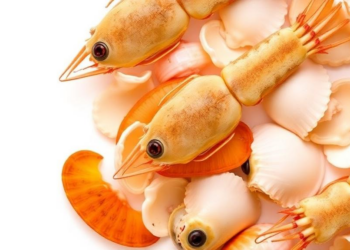 Shellfish, Not Tap Water, Emerges as the Biggest PFAS Source for Americans