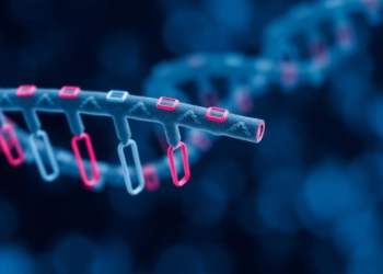 A Single DNA Letter Tweak Rewires a Cancer Gene’s Translation and Stress Response