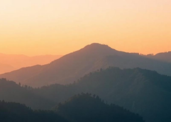 Thinner Air and Falling Oxygen May Block Insects Escaping Warming Climates Uphill