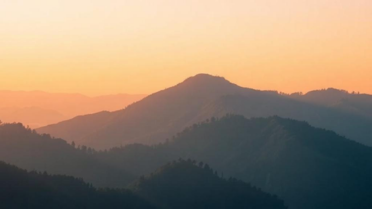 Thinner Air and Falling Oxygen May Block Insects Escaping Warming Climates Uphill