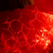 Grape Compound Piceatannol Shields Retinal Blood Vessels by Reprogramming Immune Cells