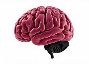 Adolescent Brain Clues: How Emotional Conflict May Signal Bipolar Risk