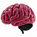 Adolescent Brain Clues: How Emotional Conflict May Signal Bipolar Risk