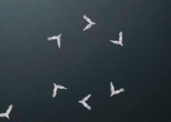Why the Circular Economy Became Sustainability’s Most Powerful Buzzword