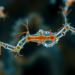 Parasite Protein SporoAMA1 Emerges as Key Switch Linking Chronic Toxoplasma Infection to Transmission