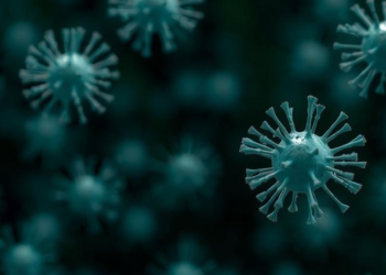 Gut Microbe Found to Calm Anxiety Caused by Environmental Pollutant Exposure