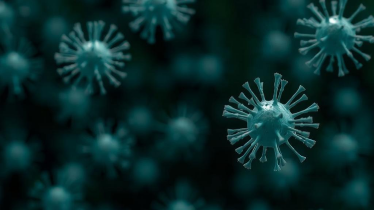 Gut Microbe Found to Calm Anxiety Caused by Environmental Pollutant Exposure