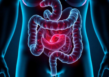 Gut Bacteria Team Up to Destroy the Nerves That Keep the Bowel Moving