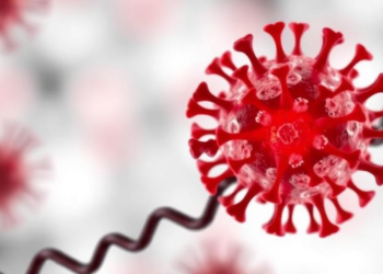 Immune Enzyme PTPN2 Emerges as Master Switch in Sepsis Inflammation