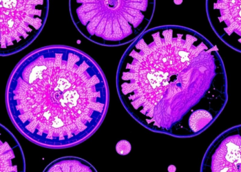 AI Reads Biopsy Slides to Predict Stomach Cancer Spread Before Surgery