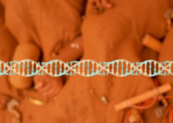 DNA Fingerprinting Gets a Local Upgrade: 24 STR Markers Profiled in India’s Santhal Community