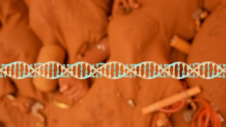 DNA Fingerprinting Gets a Local Upgrade: 24 STR Markers Profiled in India’s Santhal Community
