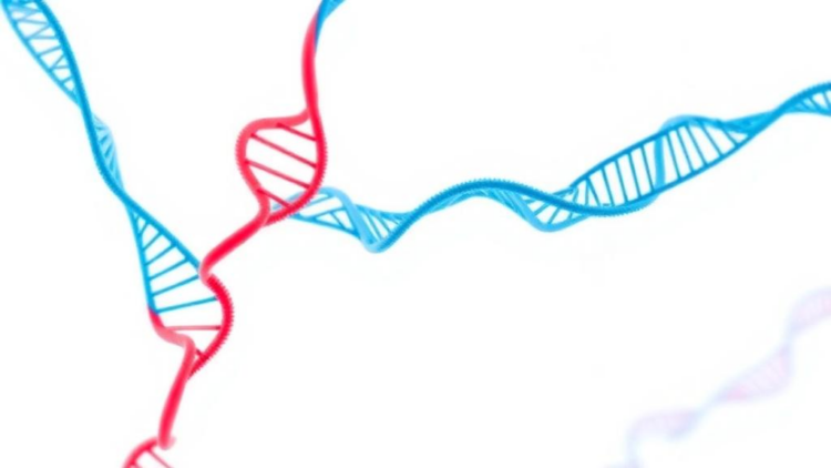 Genes and Epigenetics Converge to Explain Sudden Cardiac Death Without Family History