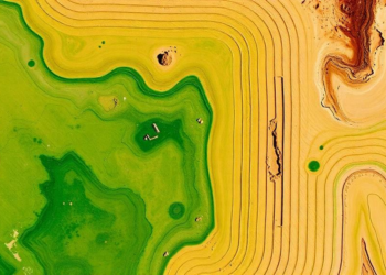 Attention-Powered AI Reads Landsat 9 to Map Soil Carbon With New Precision