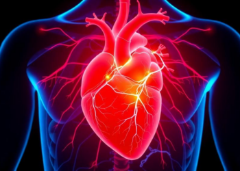 Machine Learning Model Spots Heart Disease Patients Most Likely to Carry High Lp(a)