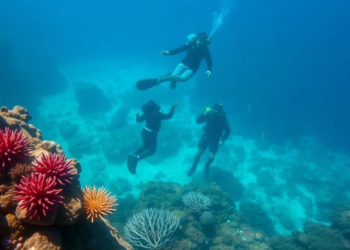 Science Meets Local Knowledge to Save Indonesia’s Coral Reefs