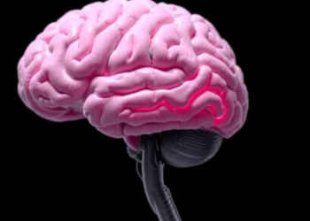 When Breast Cancer Spreads Only to the Brain, a Distinct Disease Emerges