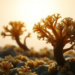 Ancient Alga Keeps Beating Its Daily Rhythm Even When the Sun Never Sets