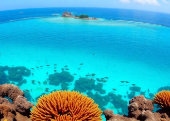 Three-Year Palau Study Tracks the Metabolic Pulse of Coral Reefs