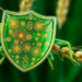 Wheat’s Greenbug Shield Traced to a Rare Kinase Fusion Protein