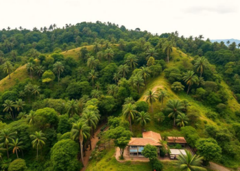 Tropical Forests Face 2024’s Record Heat and Drought as the New Normal by 2043