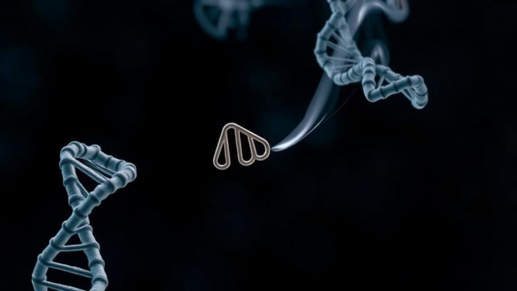 Genes Linked to Smoking May Shape Health Even in People Who Never Smoked