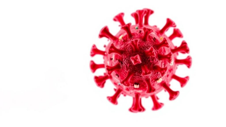 Leukaemia Patient Carried SARS-CoV-2 RNA for 127 Days in Fatal Case