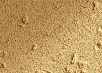 Hempcrete Gets a Strength Boost: Sulphate Additive Makes Carbon-Negative Building Material Tougher