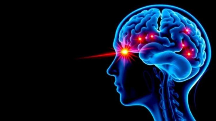Silent Brain Scars Predict Cognitive Decline in Early Multiple Sclerosis